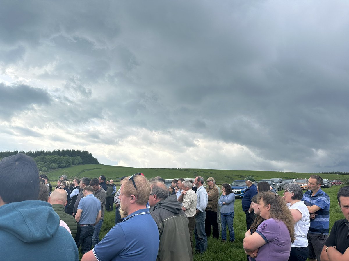 A special event yesterday at 📍Hafod y Foel with farmer Edwards Evans, Rhys Williams @PrecGrazeWales and Warrendale @WagyuFarmers discussing the transition from having a traditional suckling herd to rearing Wagyu calves on contract and establishing an efficient grazing system.🌱