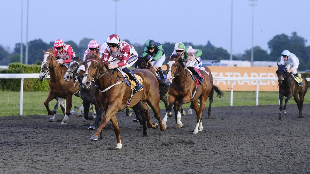 We're racing this evening!🏇 💥Gates open: 4:00PM 💥8 Races 💥1st Race: 5:25PM 💥Last Race: 9:00PM Tickets available on the gate!