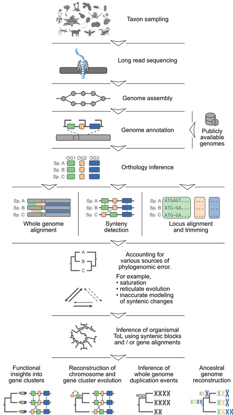 PLOS Biology tweet media
