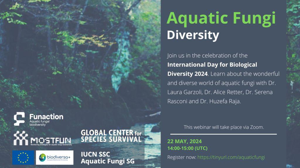 Happy #BiodiversityDay 2024!

To celebrate this important day we are co-organising the webinar Aquatic Fungi Diversity. 

🚨TODAY | 2pm UTC

Registration: us02web.zoom.us/webinar/regist…

#PartOfThePlan