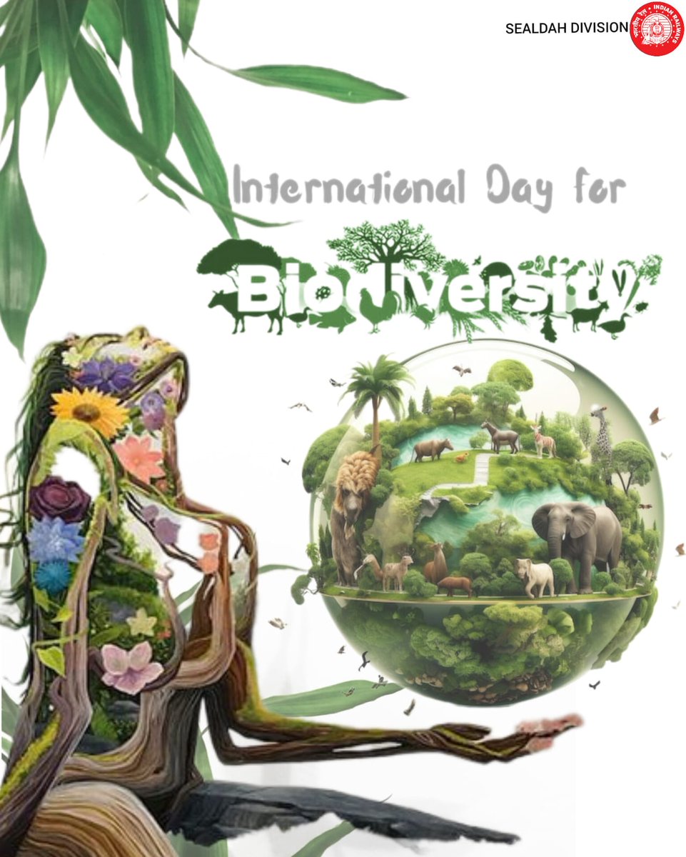 #InternationalDayForBiodiversity
BE PART OF THE PLAN
Let's Respect, Protect and Repair our Diversity.