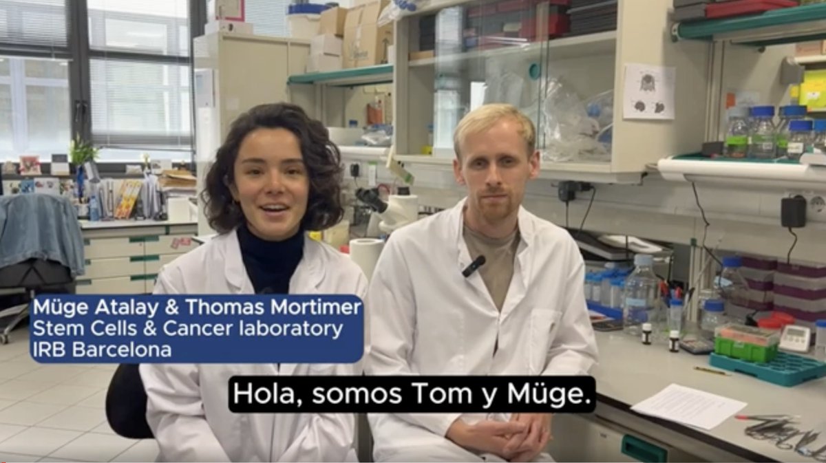 🕒🕝🕔 A groundbreaking study led by #IRBBarcelona & @UPFbiomed reveals the crucial role of synchronising central and peripheral #CircadianClocks for tissue health. 👉 Learn how this coordination helps prevent premature #ageing, as explained by @MugeeAtalay & @Mortimert91. ▶️