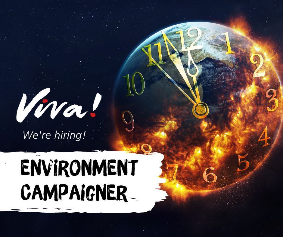 🌱 WE'RE HIRING: Environment Campaigner 📍 Based from our Bristol office 🗓️ Application deadline: 9 June 2024 Apply now: viva.org.uk/about-us/vacan… #veganjob #bristoljob