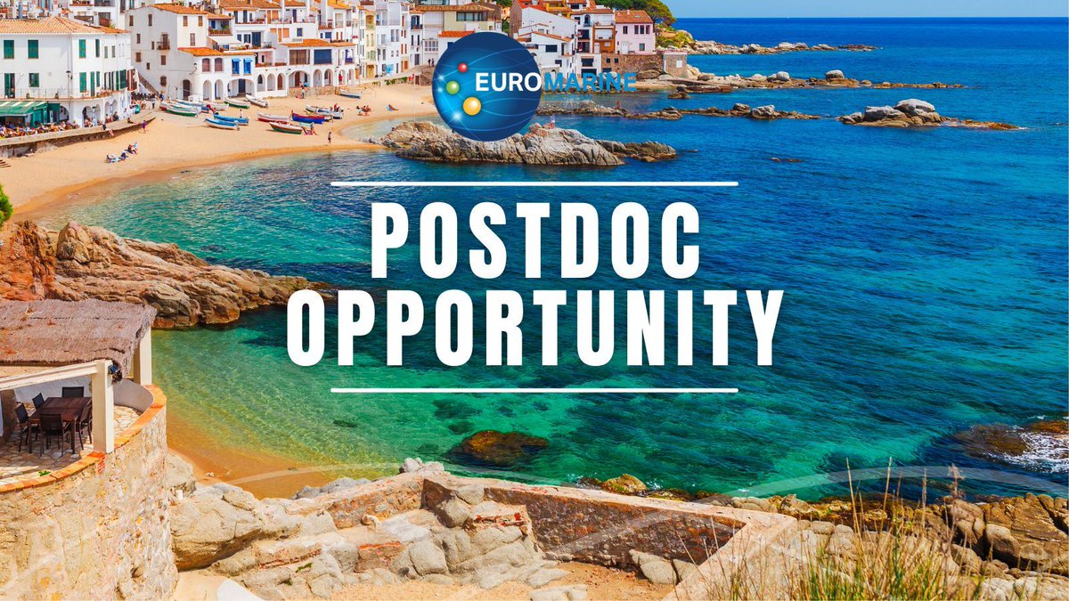 🌊@irtacat is hiring a #Postdoc in Chemical Risk Assessment for the #ChemRiskWIse project focused on monitoring data for future chemical risk assessment & their link with @EFSA_EU  🌊 PhD in chemistry/toxicology required 🗓️ Apply by May 29! buff.ly/3yjPkGf