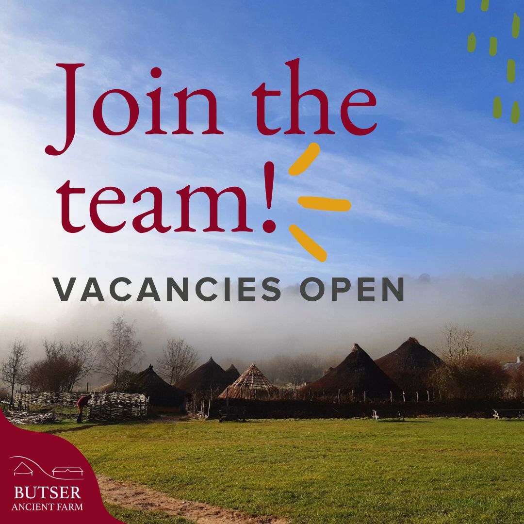 📢 We're hiring! Join the Butser team as our new Education Team Coordinator, and help support and develop our excellent education programme. If you're enthusiastic, experienced, and organised, we want to hear from you 👀 Find more & apply here ➡️ butserancientfarm.co.uk/vacancies