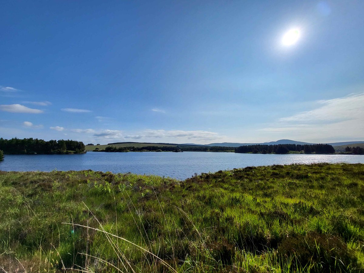 Views from the Dungloe River Trail in Donegal.
inishview.com/activity/dungl…

#Dungloe #Donegal #wildatlanticway #LoveDonegal #visitdonegal #bestofnorthwest #visitireland #discoverireland #Ireland #KeepDiscovering #LoveThisPlace #discoverdonegal #govisitdonegal #naturephotography