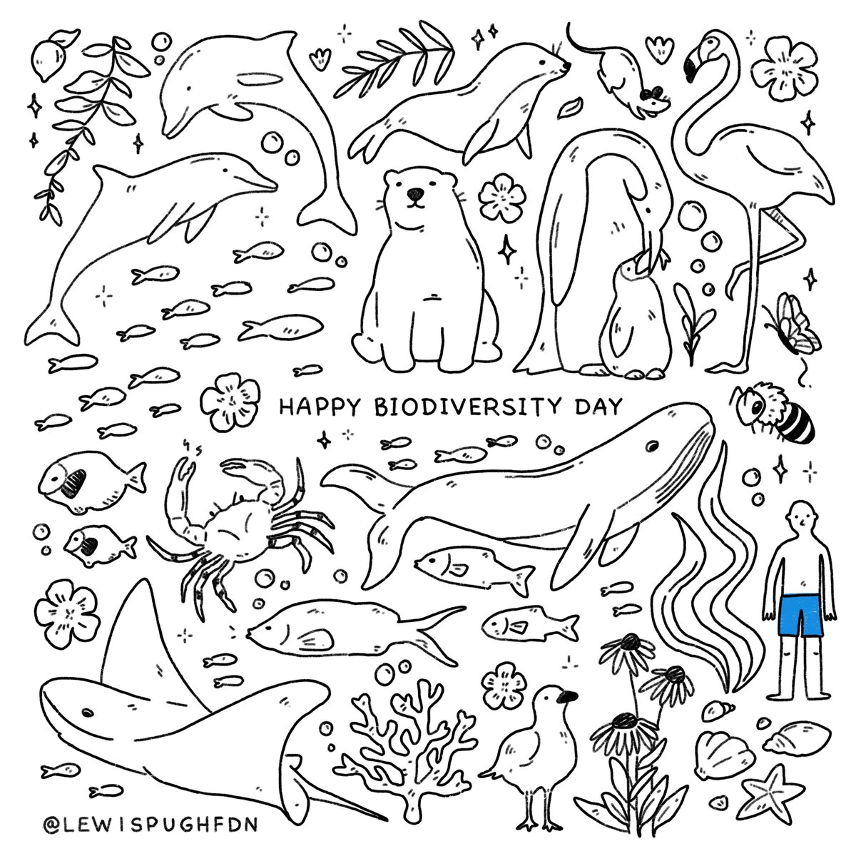 LewisPughFDN's tweet image. On #BiodiversityDay, it's time to face the facts: we're a small part of a big picture. Let's start acting like it 🌿🐠🦋
