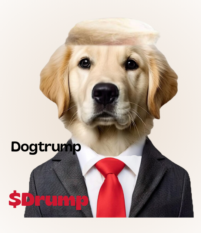 drump_sol's tweet photo. Dog Trump (ticker: $Drump) is now live on https://t.co/08zL9wm49J! 🐶 https://t.co/6r2S88Vn8q