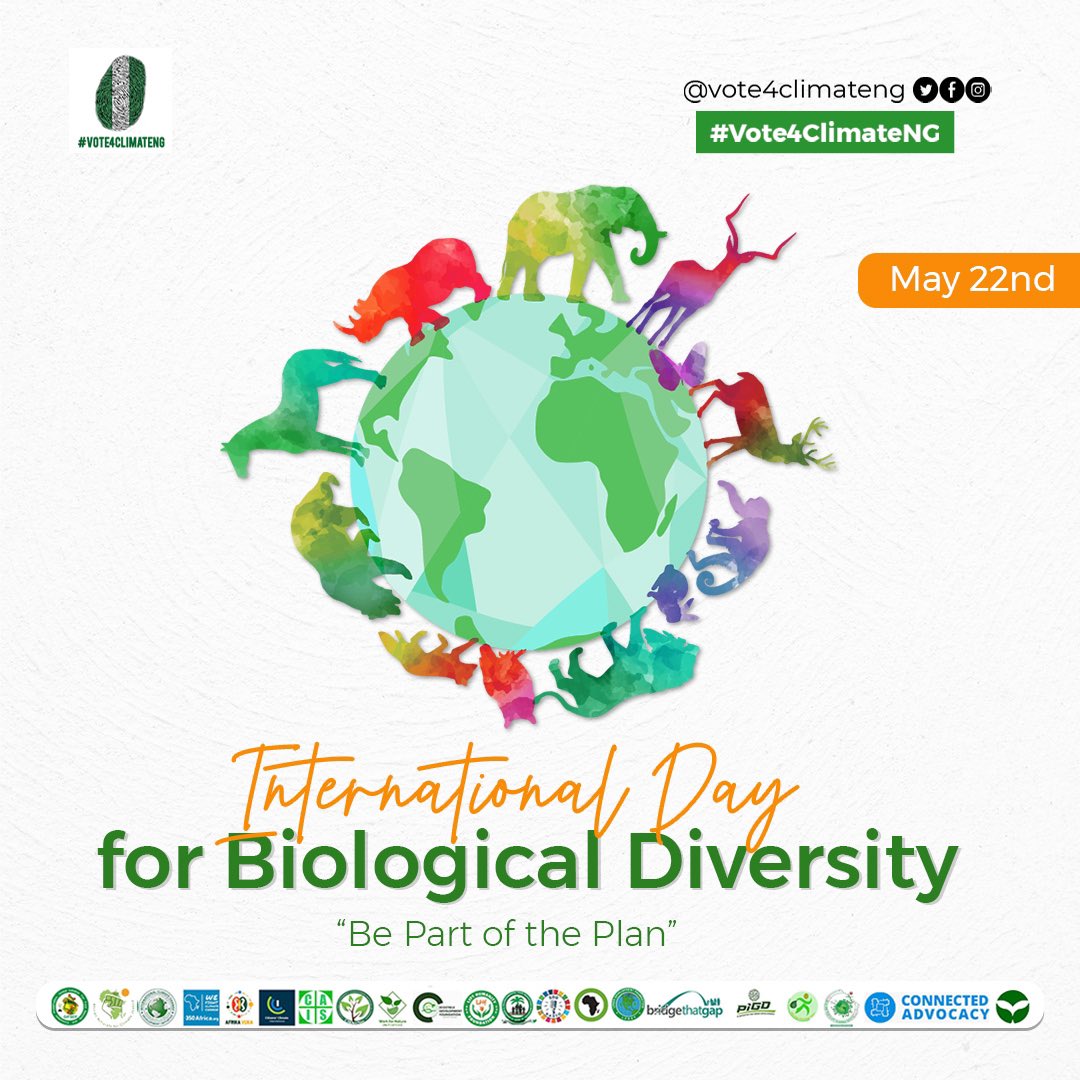 Happy World Biodiversity Day! 🌱🐘

Today, we celebrate the richness of life on our planet and recognize the critical importance of every plant and animal species to our global ecosystem. 

#BiodiversityDay #Vote4Climate #Vote4ClimateNG #AACJ