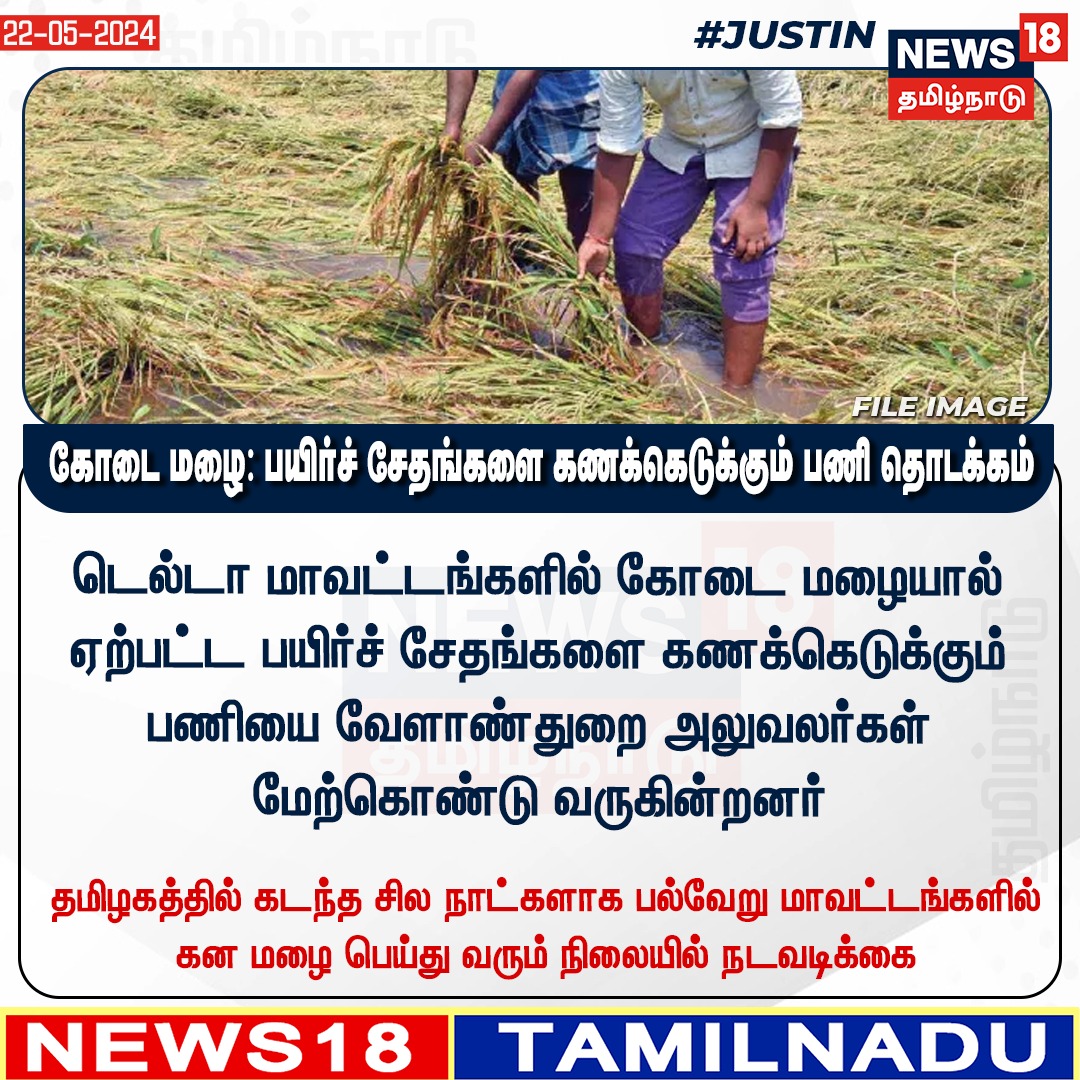 News18TamilNadu's tweet photo. #JUSTIN கோடை மழை: பயிர்ச் சேதங்களை கணக்கெடுக்கும் பணி தொடக்கம் 
#Rain #Farmfield #TamilNadu #Agriculturedepartment #news18tamilnadu | https://t.co/7dpn9FCtgj https://t.co/DKbPSp1FyJ