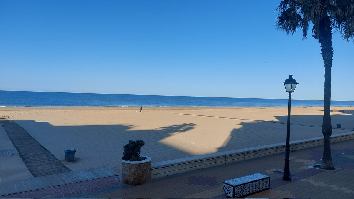 robert cleary tweet media