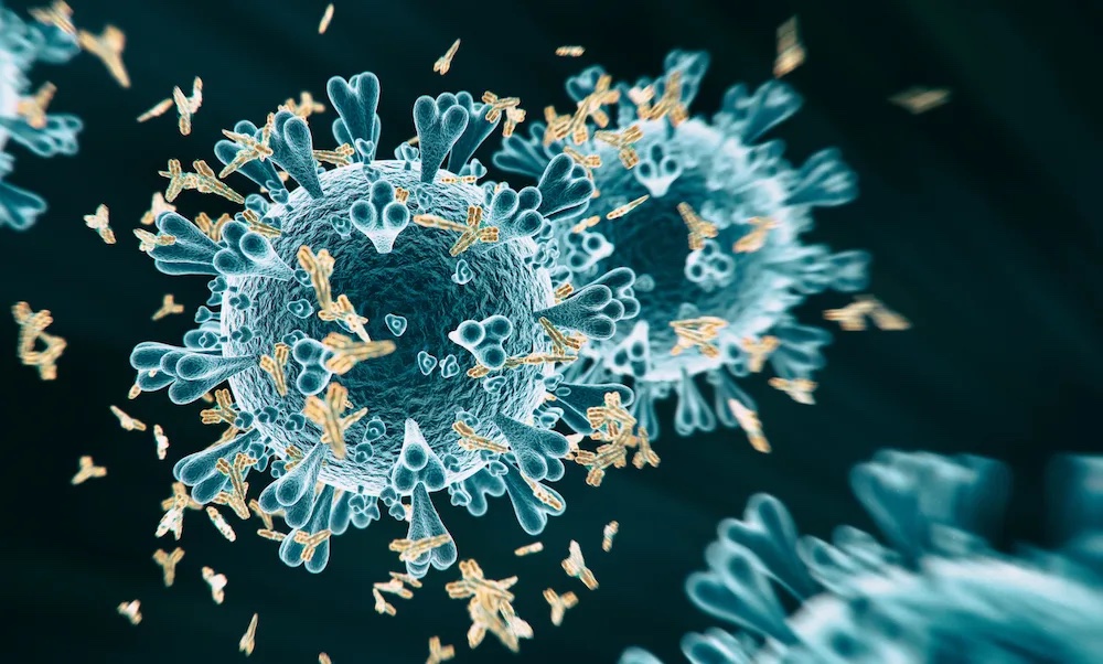 NDORMS (@ndorms) on Twitter photo A new study led by <a href="/XieJunqing/">Junqing Xie</a> has unveiled new insights into how our genetic makeup influences the body’s response to COVID-19 vaccines. The research may open new paths to personalised vaccination strategies. ndorms.ox.ac.uk/news/cracking-… A new study led by <a href="/XieJunqing/">Junqing Xie</a> has unveiled new insights into how our genetic makeup influences the body’s response to COVID-19 vaccines. The research may open new paths to personalised vaccination strategies. ndorms.ox.ac.uk/news/cracking-…