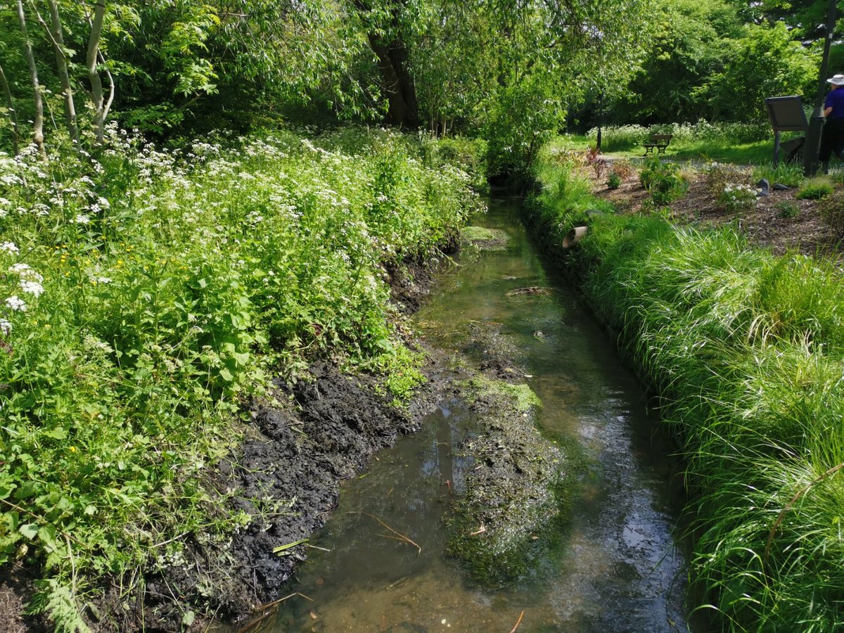 harrow_council's tweet photo. Good morning #Harrow! 👋

It might be raining and dull out there, but we are appreciating this  lovely pic of Yeading Brook where our team with volunteers are helping to improve #biodiversity and clear the river.

Thanks to all involved 👏 https://t.co/uEDO2sAYVv