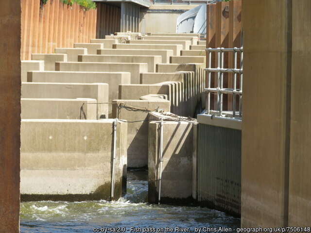 Picture of the Day from #Worcester last May #FishPass #RiverSevern #Diglis #steps #concrete geograph.org.uk/p/7506148 by Chris Allen