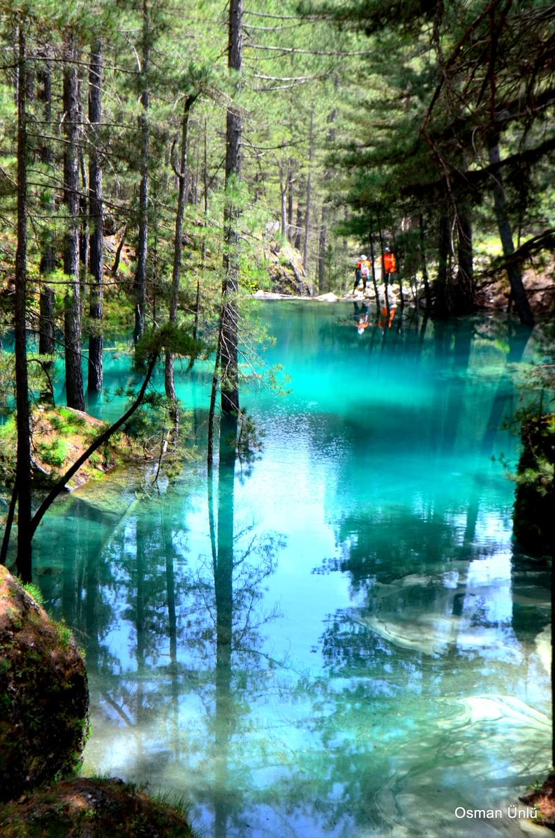 Good morning...☀️💦⛰️🌳🫧🍰☕Happy Wednesday..💧🌲🌾🏞️🌻 📸Denizli, Türkiye by O.Ünlü.☁️🌿 #WednesdayMorning #CoffeeTime #AnimalLovers #StayPositive #PeaceAndLove #22may #arte #art #nature #natural #22maggio #NaturePhotograhpy #GoodMorningEveryone #BeKindAlways