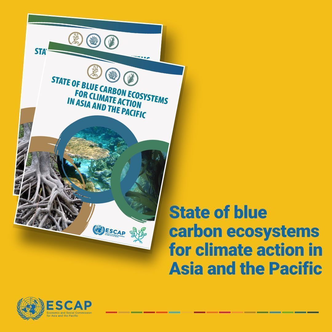 This International #BiodiversityDay under the theme #PartOfThePlan urges everyone to halt biodiversity loss. 🙌 Read our report, 'State of the Blue Carbon Ecosystem in #AsiaPacific' to learn how to protect these ecosystems ➡️ buff.ly/3UO06fo