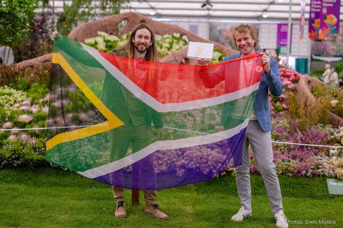 South African Flora Display Blooms with Gold at RHS Chelsea Flower Show tinyurl.com/57eawdj7 via @GoodThingsGuy