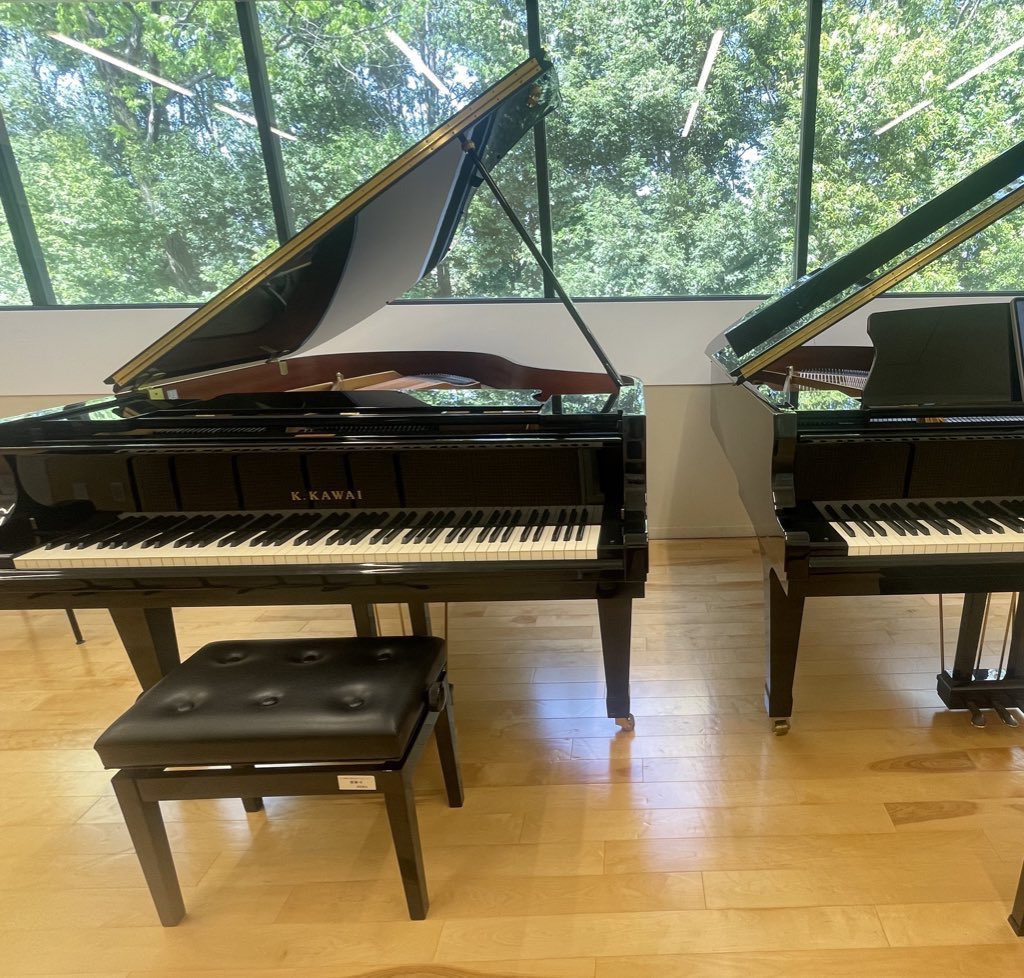 桜美林大学のレッスン室は相変わらずピアノの森のよう✨
レッスンだけじゃなく、季節による葉の色の移り変わりも楽しみ🍃