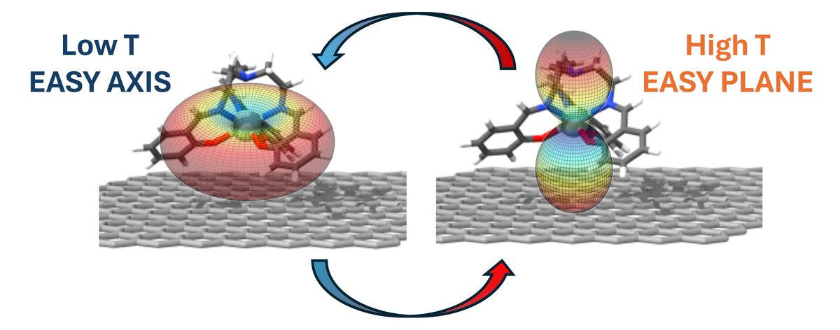 Reversible single molecule anisotropy switch observed on surface! Nice single crystal ans synchrotron measurements and modelling. Congrats to @LeonardoTaccon1 @matteobriganti2 and other collab. 
@ERC_Research is always cool! 
onlinelibrary.wiley.com/doi/10.1002/sm…