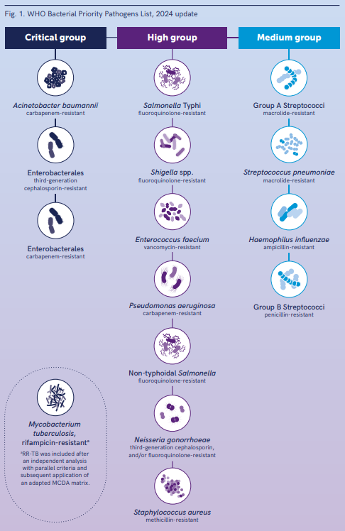 WHO bacterial priority pathogens list, 2024: Bacterial pathogens of public health importance to guide research, development and strategies to prevent and control antimicrobial resistance <a href="/ESCMID/">ESCMID</a> 
who.int/publications/i…