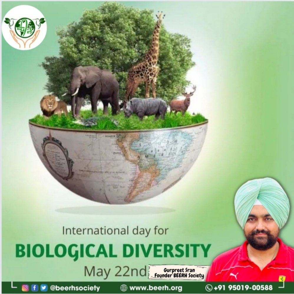 Happy World Biodiversity Day! Let's cherish the rich tapestry of life on Earth and commit to protecting our planet's incredible biodiversity. Together, we can make a difference for a sustainable future🌎🌱 #WorldBiodiversityDay #Biodiversity
