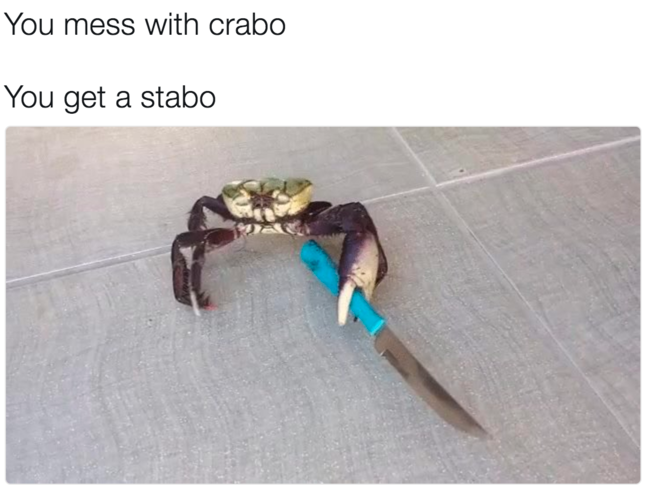 Max Mynter tweet media