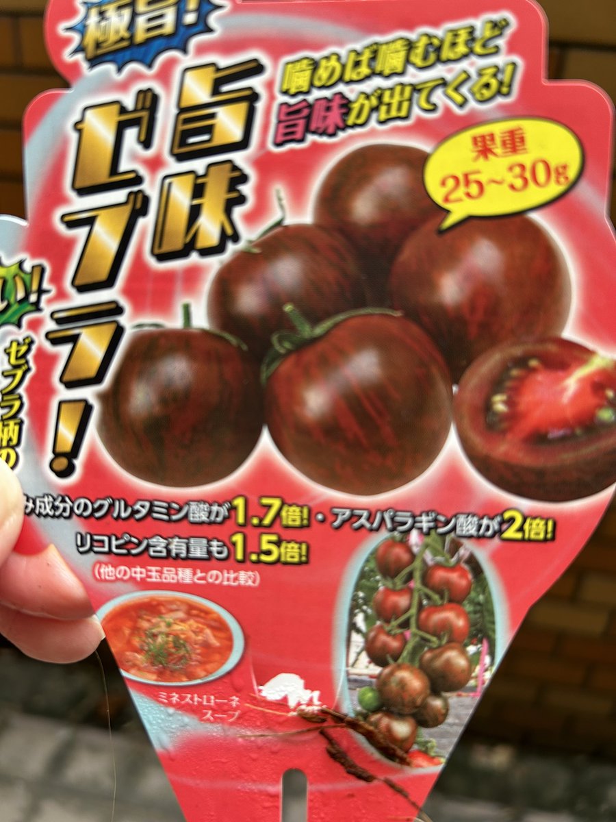 masarin44's tweet photo. ゼブラのトマト🍅 https://t.co/O1u3cmM7VU