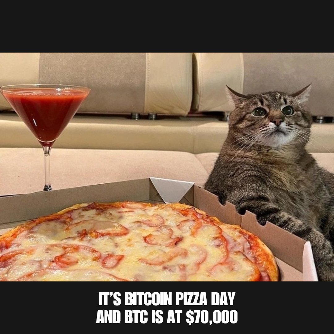 'Chill, hooman. It's #BitcoinPizzaDay 🍕'