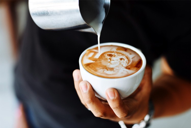 KittyWifHat tweet media