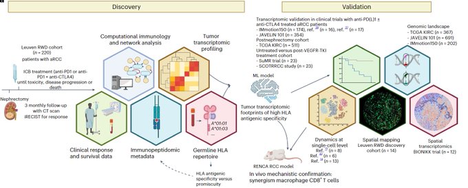 ⚡️ On @NatureMedicine - A spatial architecture-embedding HLA signature to predict clinical response to immunotherapy in renal cell carcinoma #KidneyCancer #Immunotherapy @OncoAlert @OncLive nature.com/articles/s4159…