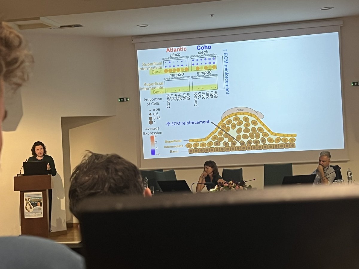 Great talk: Dr. <a href="/Salisbury_Fish/">Sarah Salisbury</a> demonstrates the use of single-cell genomics to understand the genetic underlying the differences in resistance against sea lice infection between two closely related salmonid species (Atlantic salmon and coho salmon) <a href="/roslininstitute/">The Roslin Institute</a> #GIA2024