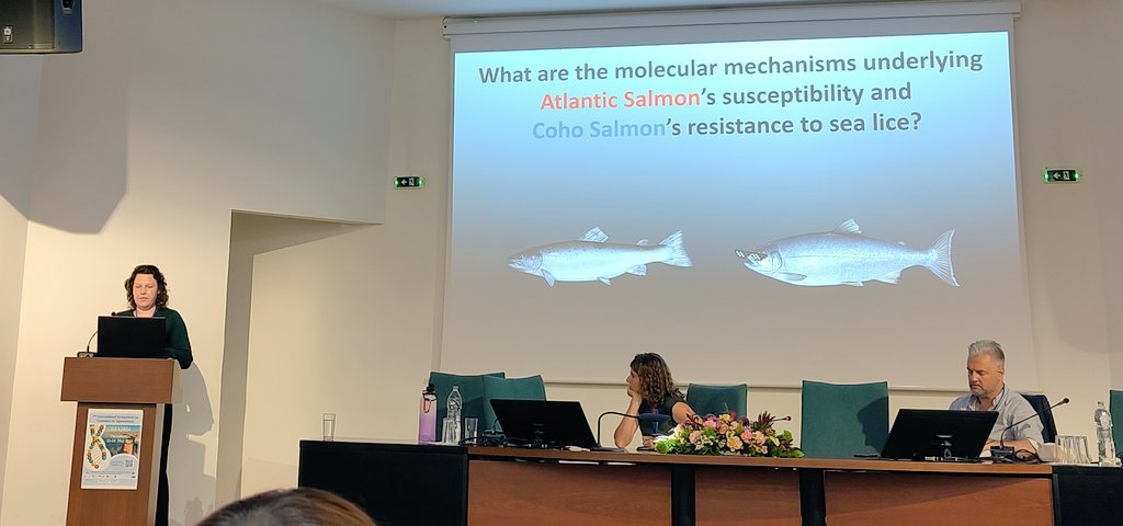 Great talk from <a href="/Salisbury_Fish/">Sarah Salisbury</a>  on sealice resistance Atlantic salmon vs coho. Sarah is asking the question: "how coho get rid of sealices?". The answer is a combined response: quiescence of red blood cells + epithelial hyperplasia
"It's not the cell it's what you do with them"