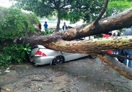 'Tips to motorists during the rainy season. Avoid parking under trees, powerlines' 

VIA @RVIBSrvalley
