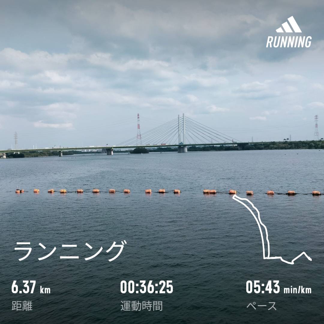 今日もしっかり運動👍