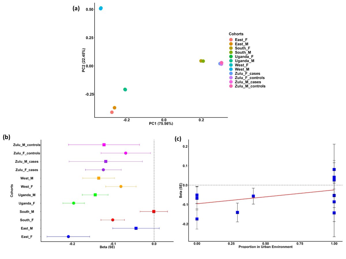 Jennifer  Asimit tweet media