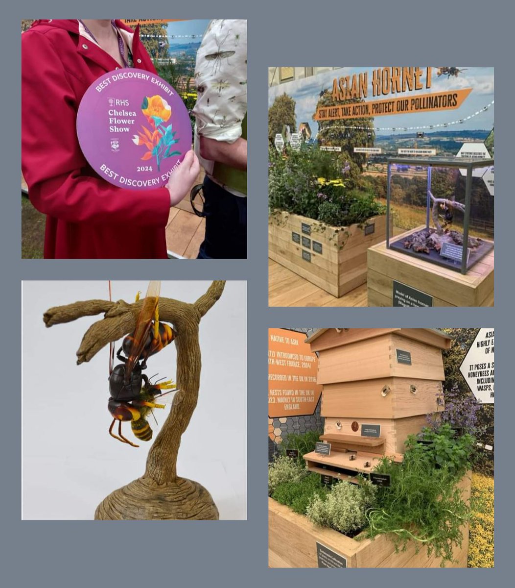 Animal Plant Heath Agency stand at Chelsea Flower Show gets best discovery exhibit in show as well as a gold medal.