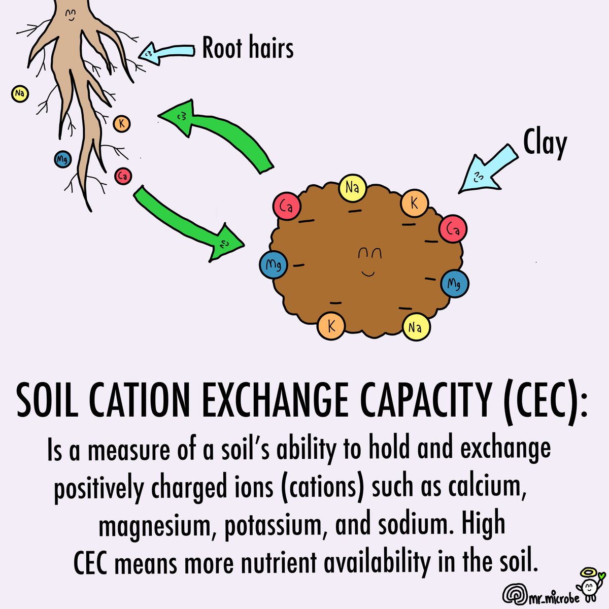 Daily art challenge day #597, soil cation exchange capacity ⚛️🍄

#knf #koreannaturalfarming #naturalfarming #farming #farm #plants #seeds #planting #soil #microbes #microorganisms #nature #microorganism #regenerativeagriculture #regenerativefarming #childrensbooks #nfts #nft