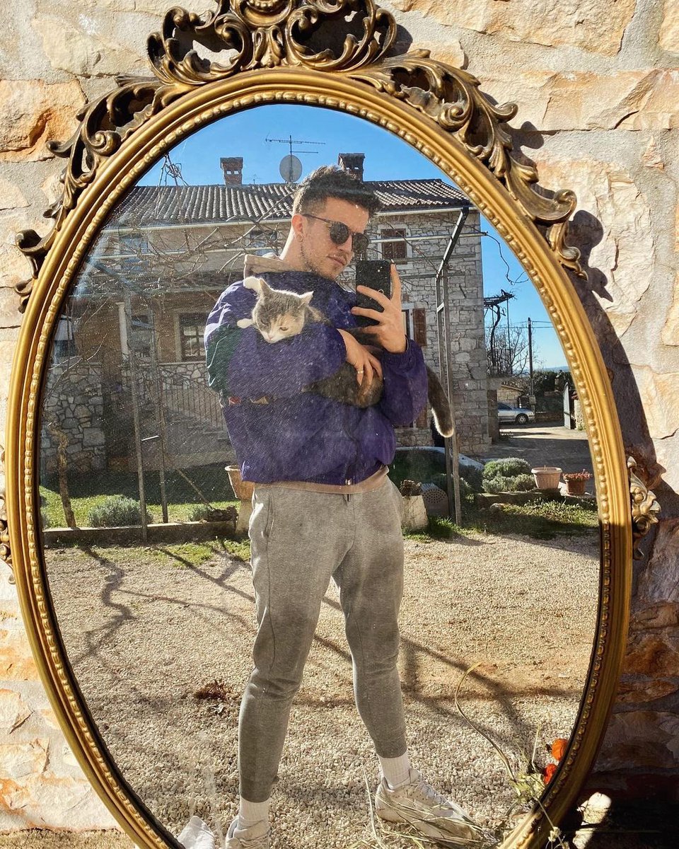 fuckgrantaire's tweet image. 🐈‍⬛ baby lasagna as cats ~ a thread 🐈