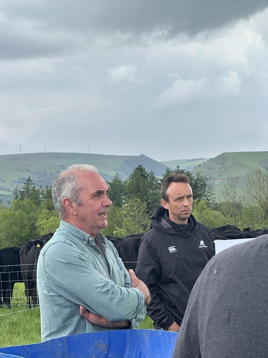 Digwyddiad arbennig ddoe yn 📍Hafod y Foel gyda’r ffermwr Edwards Evans, Rhys Williams <a href="/PrecGrazeWales/">Rhys Williams</a> a Warrendale <a href="/WagyuFarmers/">Warrendale Wagyu Farmers</a> yn trafod drawsnewid o fod â buches sugno draddodiadol i fagu lloi Wagyu ar gontract a sefydlu system pori effeithlon. 🌱