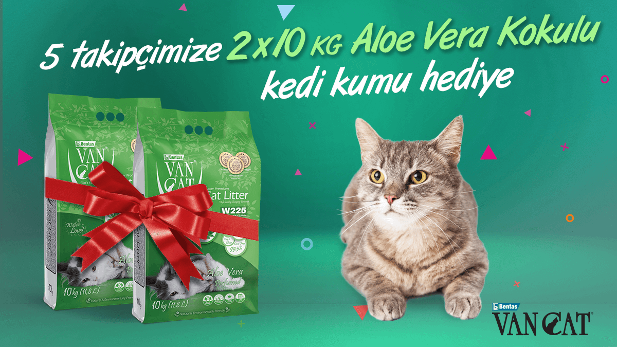 VanCatTurkiye's tweet photo. 🎁 VanCat Mayıs Çekilişi! 🎁

Çekilişimize katılmak için:
🐾 @VanCatTurkiye sayfamızı takip et,
🐾 Bu gönderiyi beğen ve repostla,
🐾 Bir arkadaşını yoruma etiketle!

5 takipçimize 2x10KG VanCat Aloe Vera Kokulu #KediKumu #Hediye! 😻

🛎 Çekiliş sonuçları 5 Haziran! https://t.co/PSlOtshY3M