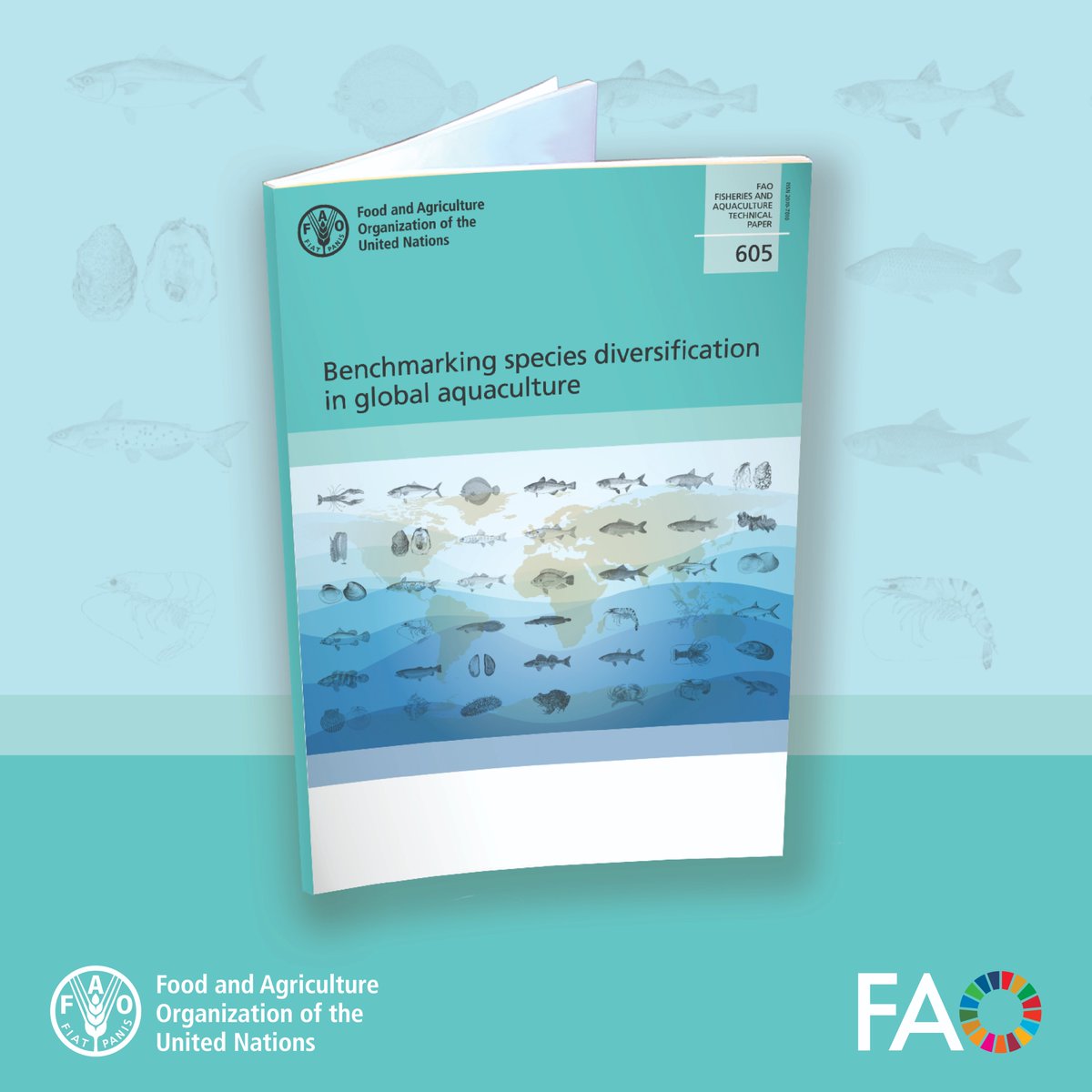This paper analyzes species diversification trends in 200 countries over 3 decades, introducing a  benchmarking system that helps inform policies for a diversified, sustainable &amp; resilient #Aquaculture sector.

Read more 👉 bit.ly/3ysSVSt

#BiodiversityDay