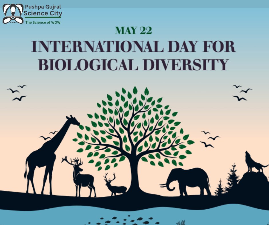 Biodiversity, the intricate web of life on our planet, underpins human well being now and in the future, and its rapid decline poses a threat to both nature and humanity. Let's protect and conserve Biodiversity. #InternationalDayforBiologicalDiversity #BePartofthePlan
