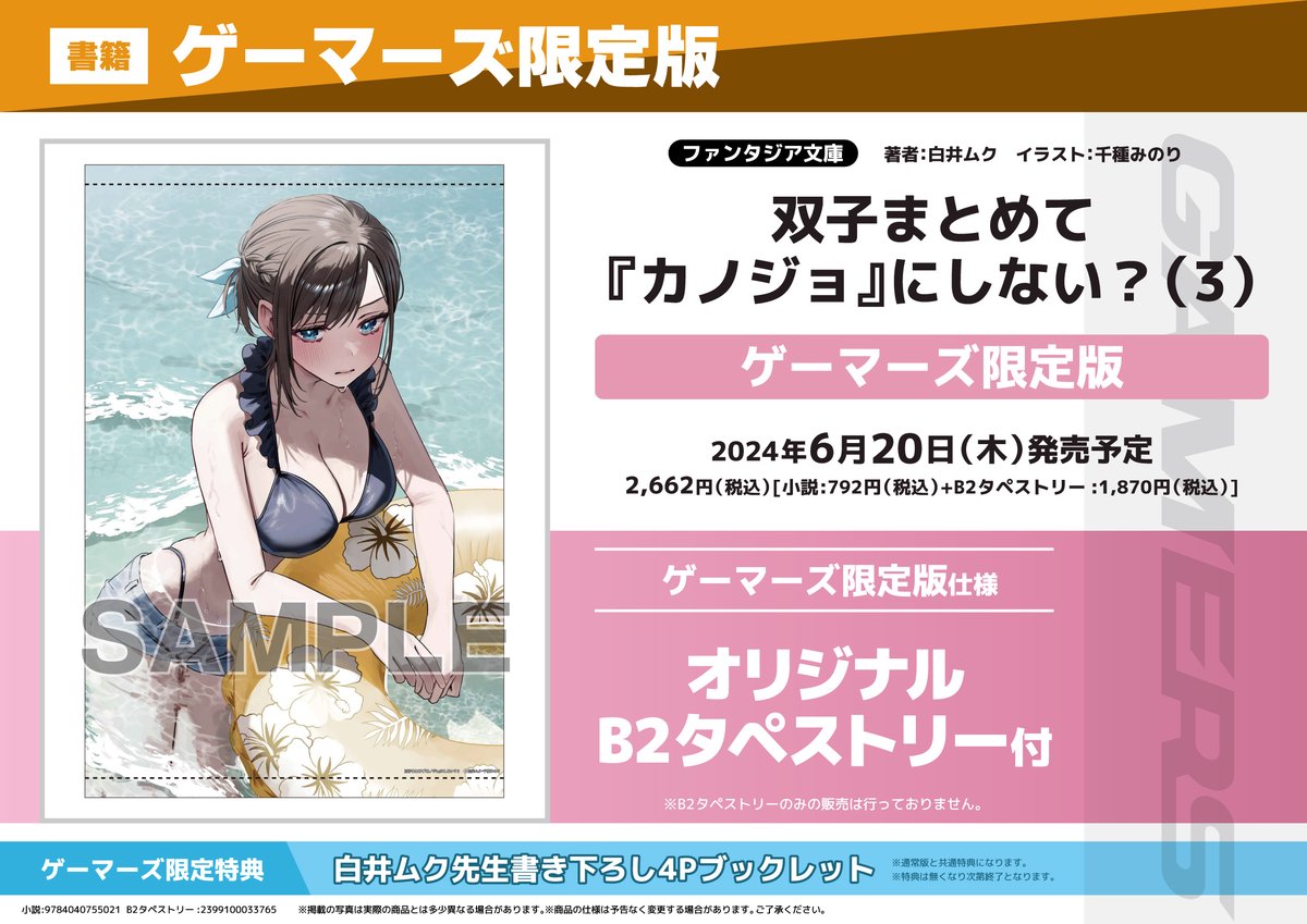 情報】《不包下雙胞胎當「女友」嗎？》日版小說第3 集將推出GAMERS 