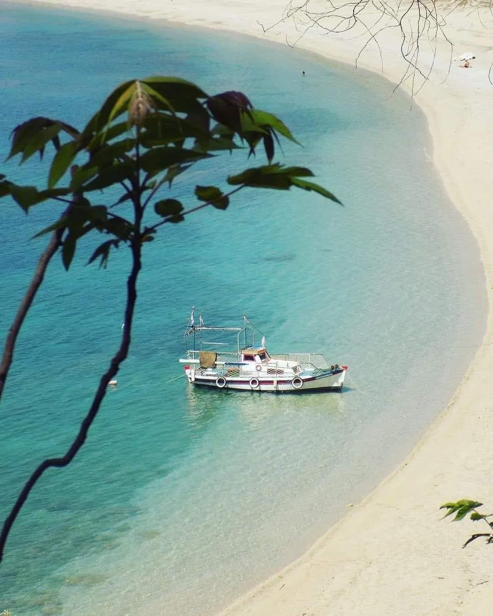 Good morning from the shores of Parga, Greece! Tranquility reigns supreme as a lone boat bobs in the peaceful green waters. A lone tree stands sentinel, completing this idyllic scene. #Parga #Greece #MorningMotivation