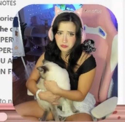 thank yall for the amazing stream, enjoy this incredibly lofi pic of me and my cats