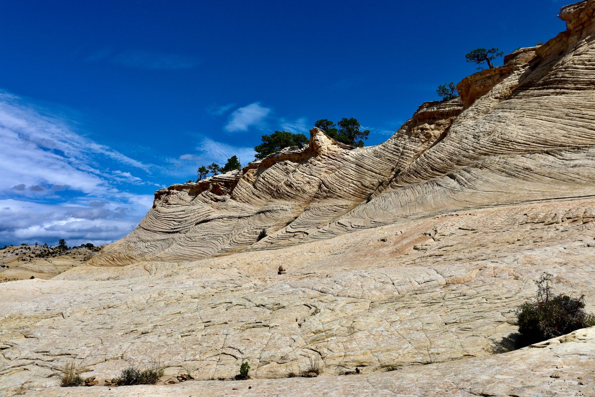 From my hikes...

The sky, the trees, the sandstone.
I do not need anything else.

Utah - 2023

Have a good day!

#hiking #hikingadventures #nature #naturelovers