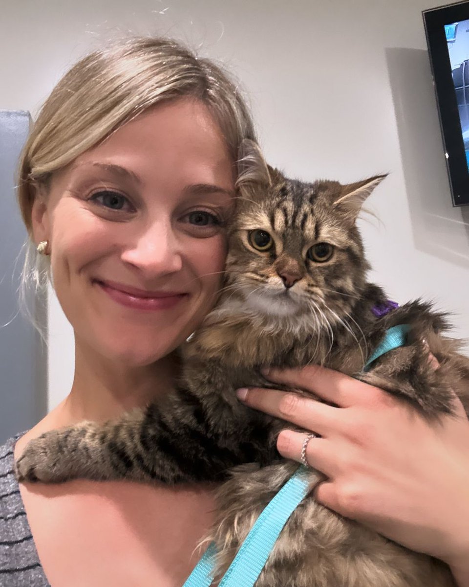 hvhpio15315dhd7's tweet photo. Just me and Ru at his PT session this morning💪🥰
#babykittenrescue #kittenrescue #paralyzedcat #disabledkitten #disabledcat #paralyzedkitten #specialneedskitten #specialneedsanimals #specialneedscat #specialneedskitty #disabledkitten #floofycat #floofer #fluffykitten https://t.co/sBL1YeMi8a