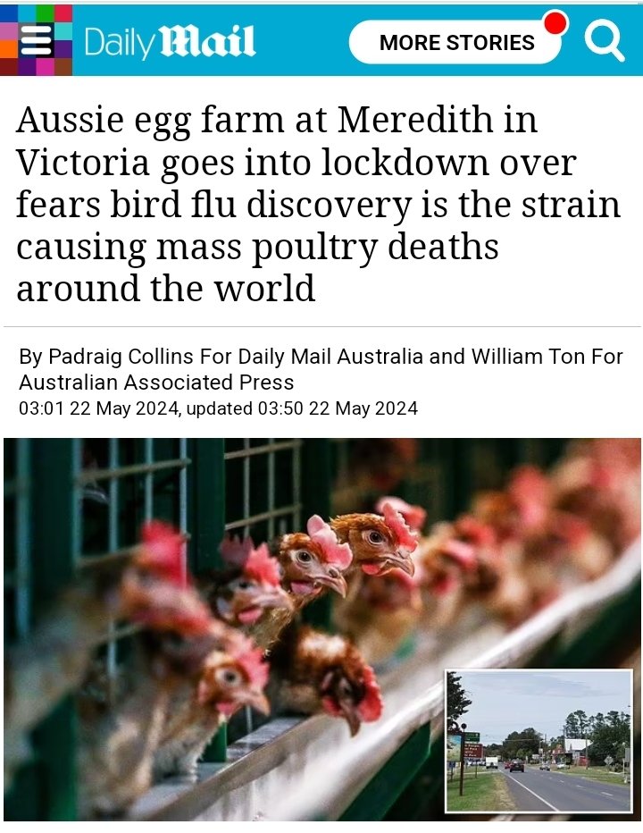 Vic Aus 🇦🇺 Here we go again...'Chicken Farm in Meredith in 'Lockdown' over an alleged 'Bird Flu' 🐔 Outbreak... They'll do anything they can to destroy the food supply 👇