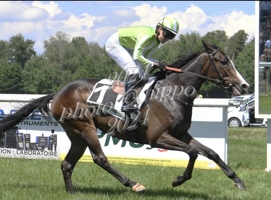 Winner##  great to have a winner for  a great brunch of Irish lads , 
4k yearling purchase ,<a href="/InfoArqana/">ARQANA</a> <a href="/DannyCo75831415/">DCBloodstock France</a> 
##getinvolve