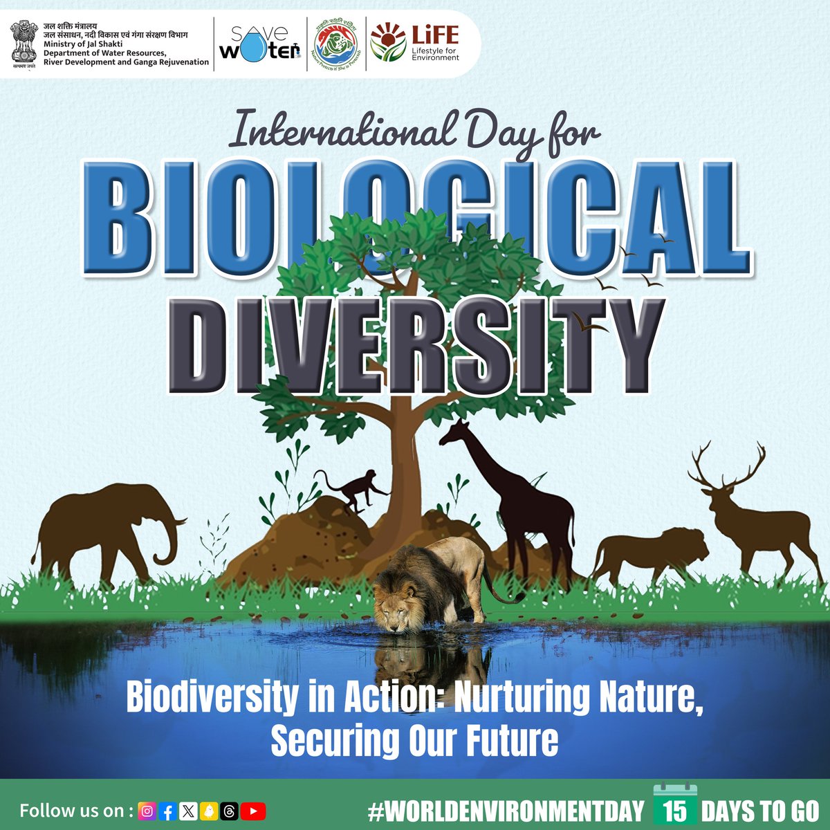 Hey nature lovers! It's #BiodiversityDay, a time to celebrate the incredible richness of life on #Earth. But it's also a call to action: our planet's #biodiversity is under threat. On this #BiodiversityInAction day, let's commit to protecting and restoring our natural world.